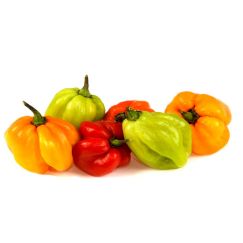 Scotch Bonnet Peppers 1kg