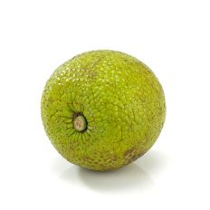 Breadfruit Fresh 1.5kg